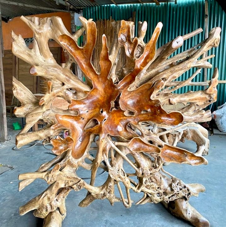 Grande base de table ou sculpture en bois de souche de teck brut et verni, mettant en valeur des racines complexes et organiques.